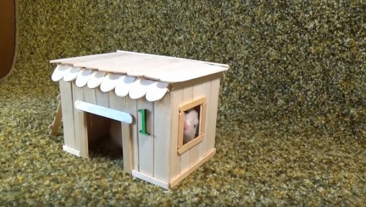 cách làm nhà hamster