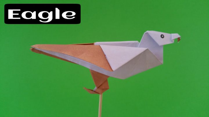 cách làm con chim đại bằng từ giấy